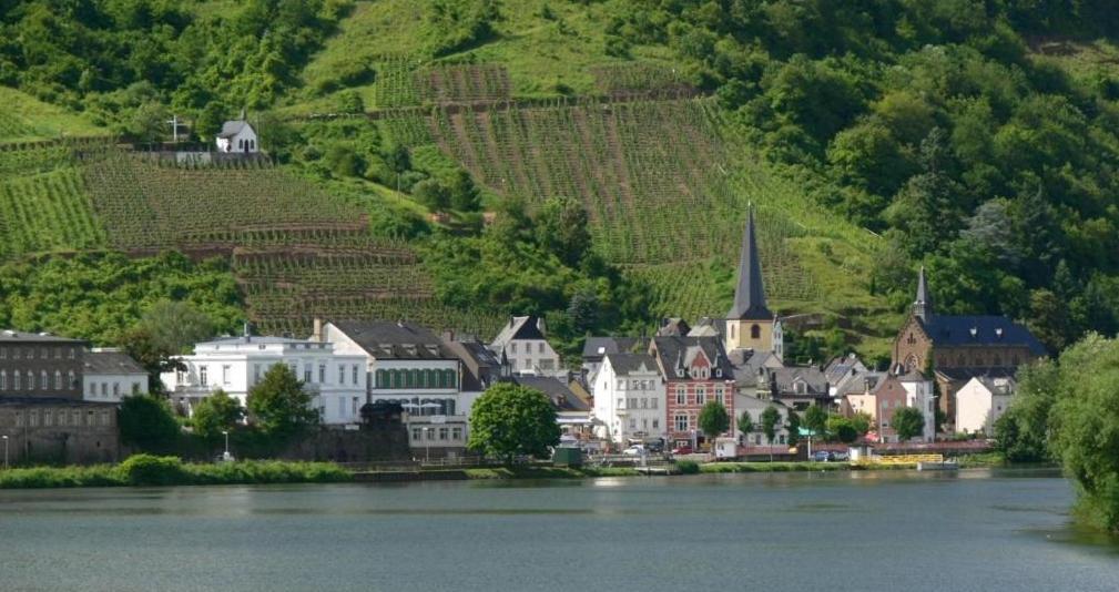 Panorama-Cafe Moselgarten アルフ エクステリア 写真