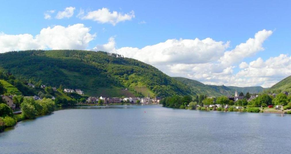 Panorama-Cafe Moselgarten アルフ エクステリア 写真