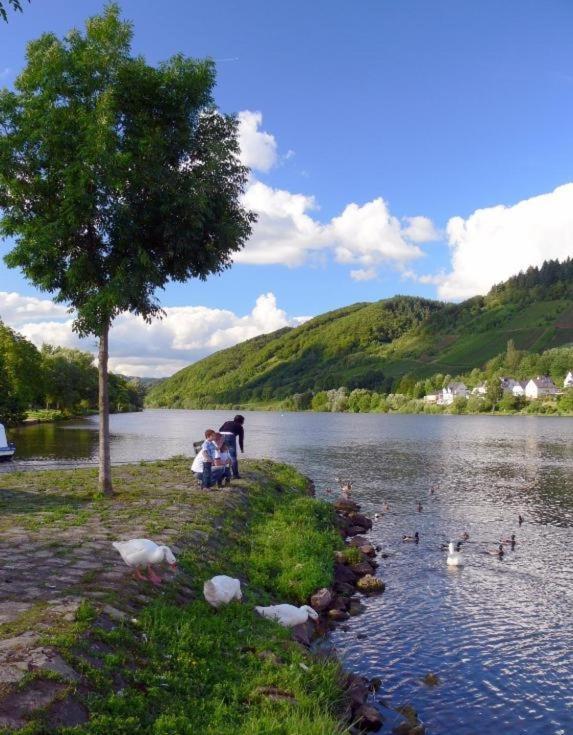 Panorama-Cafe Moselgarten アルフ エクステリア 写真