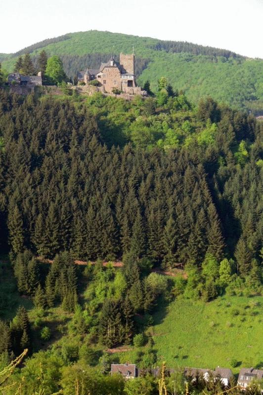 Panorama-Cafe Moselgarten アルフ エクステリア 写真