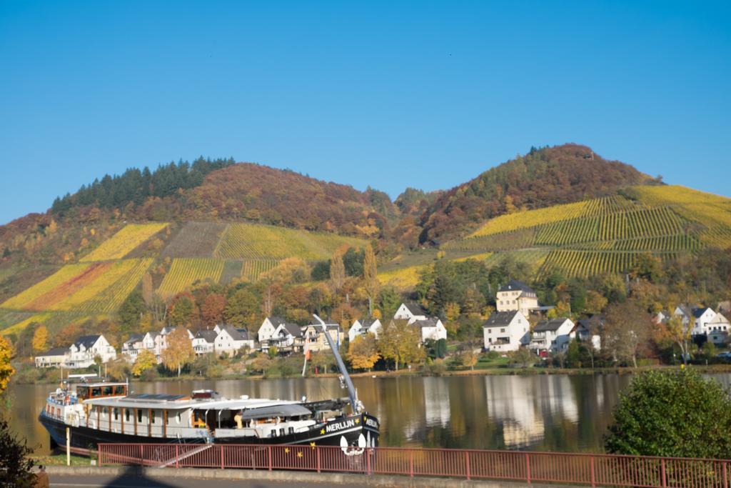 Panorama-Cafe Moselgarten アルフ エクステリア 写真